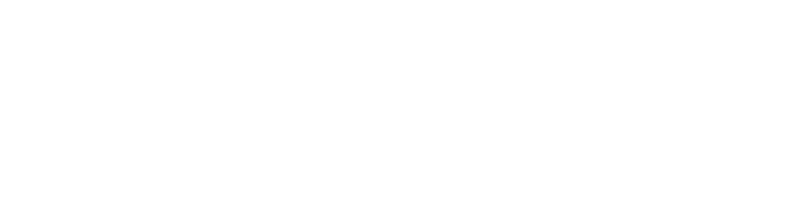 The-dogs-company-texto